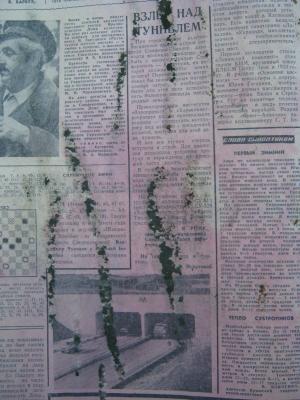 Прикрепленное изображение: IMG_2887.JPG